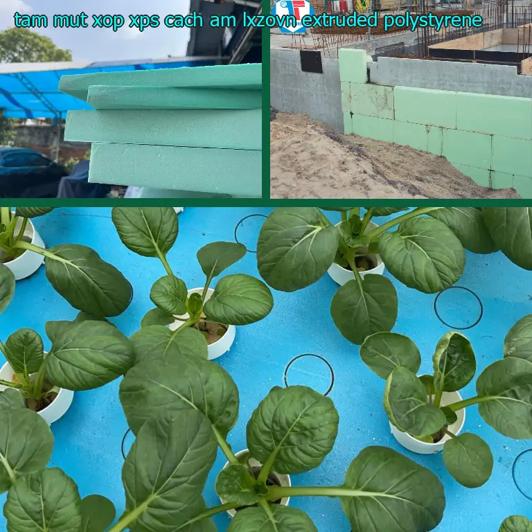 Chất liệu tấm mút xốp XPS cách âm LXZOVN: Extruded Polystyrene
