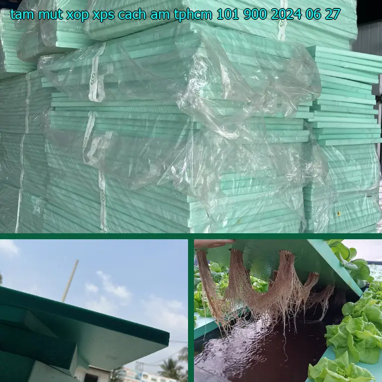 Ngày sản xuất tấm mút xốp XPS cách âm TpHCM 101.900₫: 2024-06-27 Ngày sản xuất tấm mút xốp XPS cách âm TpHCM 101.900₫: 2024-06-27