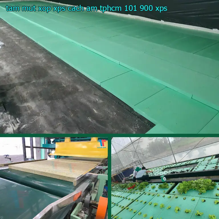 Chất liệu tấm mút xốp XPS cách âm TpHCM 101.900₫: XPS Chất liệu tấm mút xốp XPS cách âm TpHCM 101.900₫: XPS