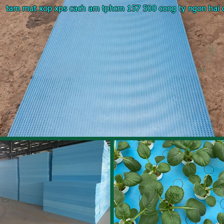 Nhà cung cấp tấm mút xốp XPS cách âm TpHCM 157.500₫: Công ty Ngọn Hải Đăng Nhà cung cấp tấm mút xốp XPS cách âm TpHCM 157.500₫: Công ty Ngọn Hải Đăng