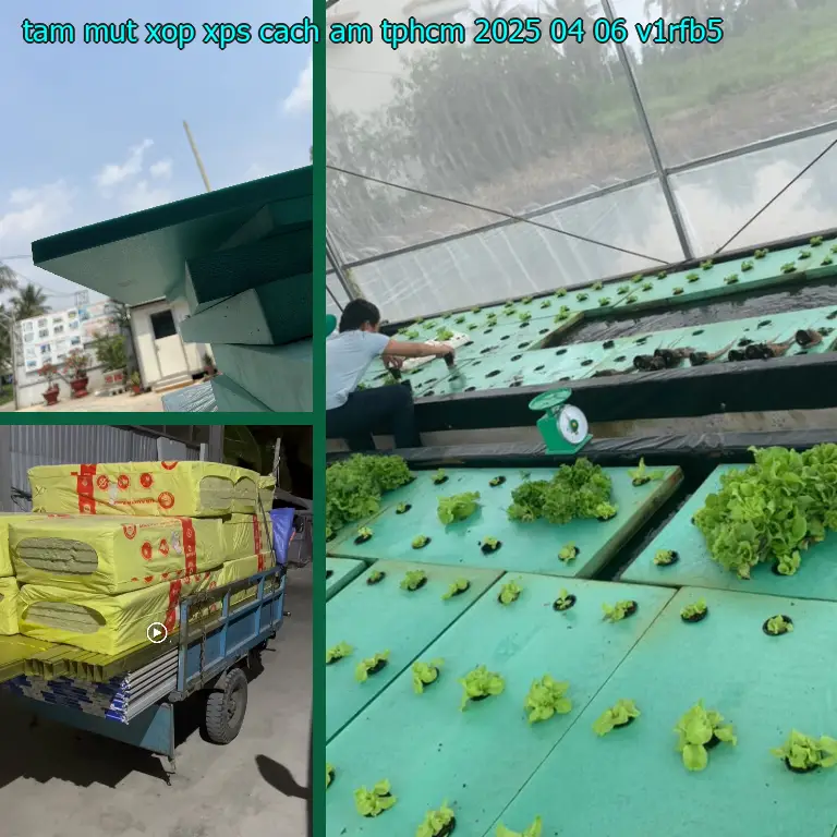 Model tấm mút xốp XPS cách âm TpHCM 2025-04-06: V1RFB5