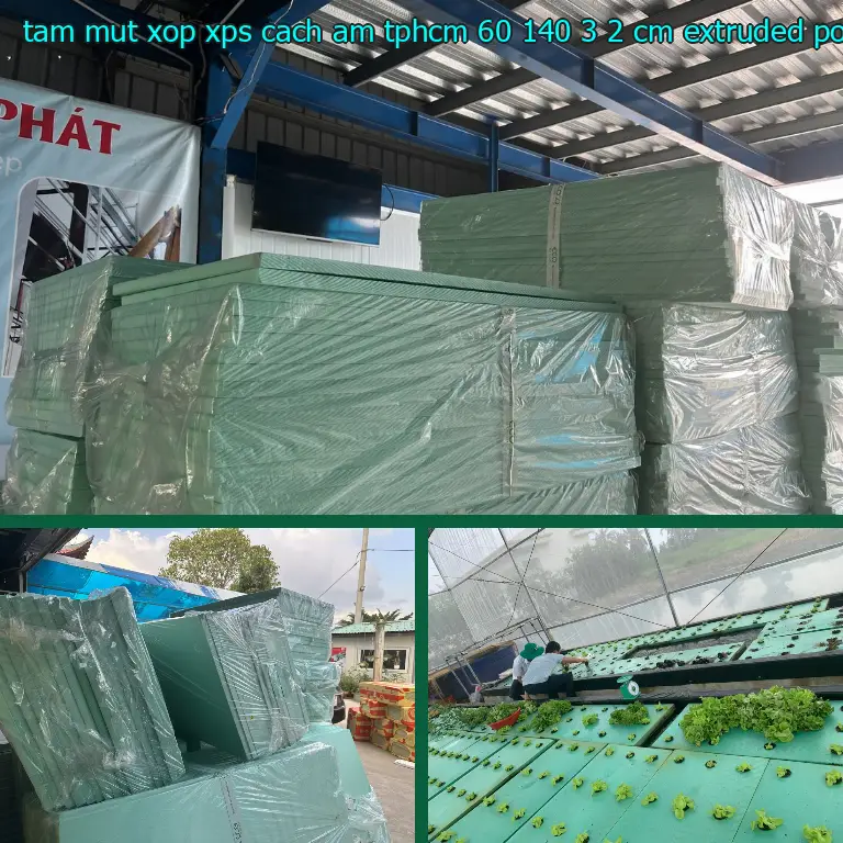 Chất liệu tấm mút xốp XPS cách âm TpHCM 60*140*3.2 cm: Extruded Polystyrene Chất liệu tấm mút xốp XPS cách âm TpHCM 60*140*3.2 cm: Extruded Polystyrene