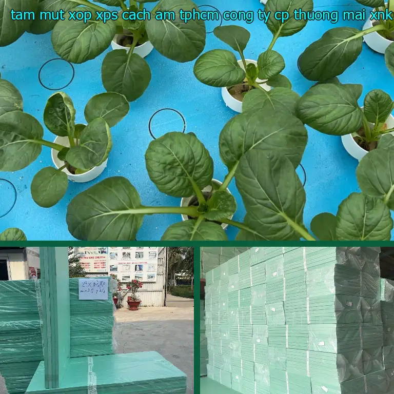 Danh mục tấm mút xốp XPS cách âm TpHCM Công ty CP thương mại XNK Tân Phú Bình: XPS Foam Board Danh mục tấm mút xốp XPS cách âm TpHCM Công ty CP thương mại XNK Tân Phú Bình: XPS Foam Board
