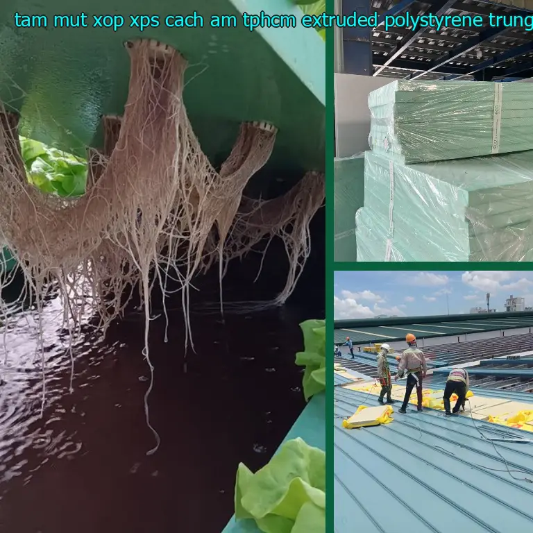 Xuất xứ tấm mút xốp XPS cách âm TpHCM Extruded Polystyrene: Trung Quốc Xuất xứ tấm mút xốp XPS cách âm TpHCM Extruded Polystyrene: Trung Quốc