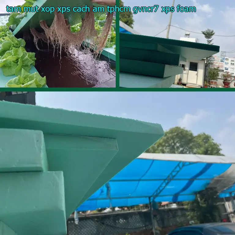 Danh mục tấm mút xốp XPS cách âm TpHCM GVNCR7: XPS Foam
