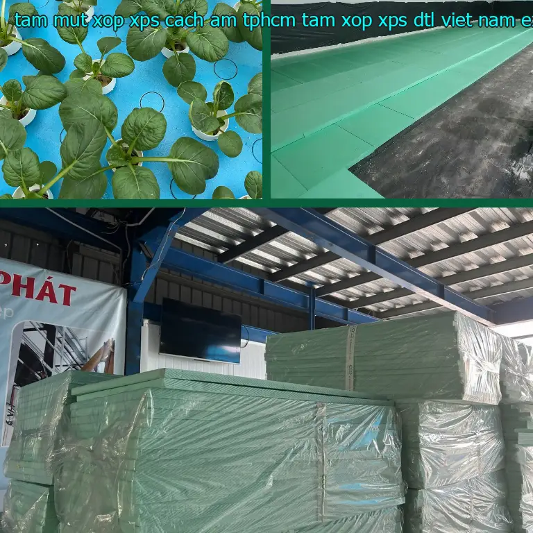 Chất liệu tấm mút xốp XPS cách âm TpHCM Tấm xốp XPS DTL Việt Nam: Extruded Polystyrene Foam Chất liệu tấm mút xốp XPS cách âm TpHCM Tấm xốp XPS DTL Việt Nam: Extruded Polystyrene Foam