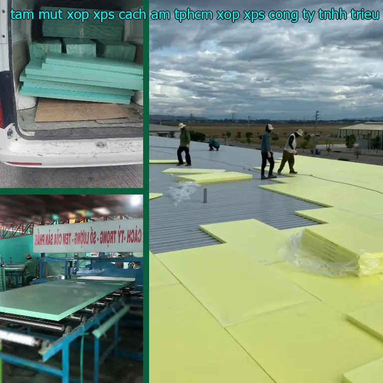Nhà sản xuất tấm mút xốp XPS cách âm TpHCM Xốp XPS: Công ty TNHH Triệu Hổ Nhà sản xuất tấm mút xốp XPS cách âm TpHCM Xốp XPS: Công ty TNHH Triệu Hổ