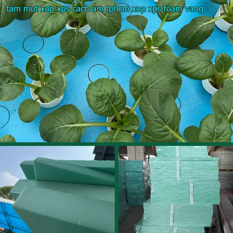 Màu sắc tấm mút xốp XPS cách âm TpHCM Xốp XPS Foam: Vàng Màu sắc tấm mút xốp XPS cách âm TpHCM Xốp XPS Foam: Vàng