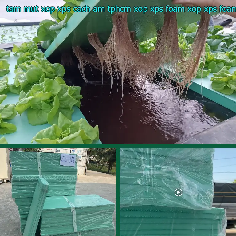 Danh mục tấm mút xốp XPS cách âm TpHCM Xốp XPS Foam: Xốp XPS Foam Danh mục tấm mút xốp XPS cách âm TpHCM Xốp XPS Foam: Xốp XPS Foam