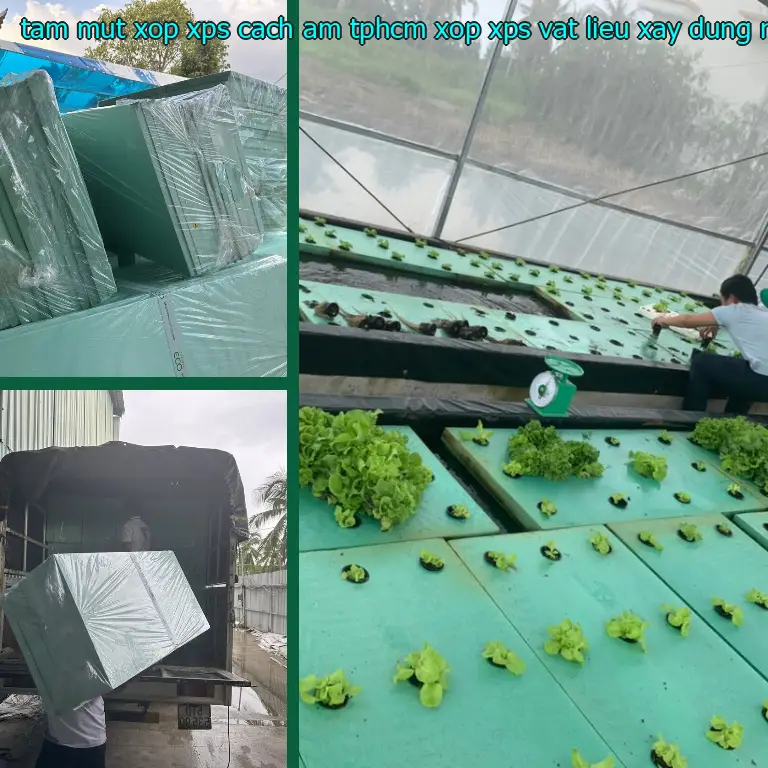 Nhà cung cấp tấm mút xốp XPS cách âm TpHCM Xốp XPS: Vật Liệu Xây Dựng Mr.HẢI Nhà cung cấp tấm mút xốp XPS cách âm TpHCM Xốp XPS: Vật Liệu Xây Dựng Mr.HẢI