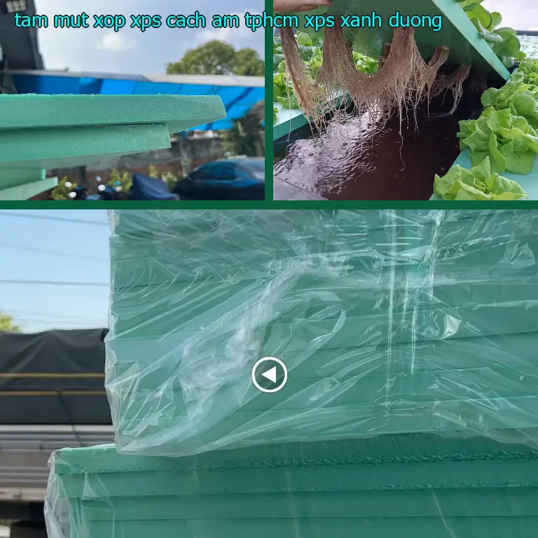 Màu sắc tấm mút xốp XPS cách âm TpHCM XPS: Xanh dương Màu sắc tấm mút xốp XPS cách âm TpHCM XPS: Xanh dương