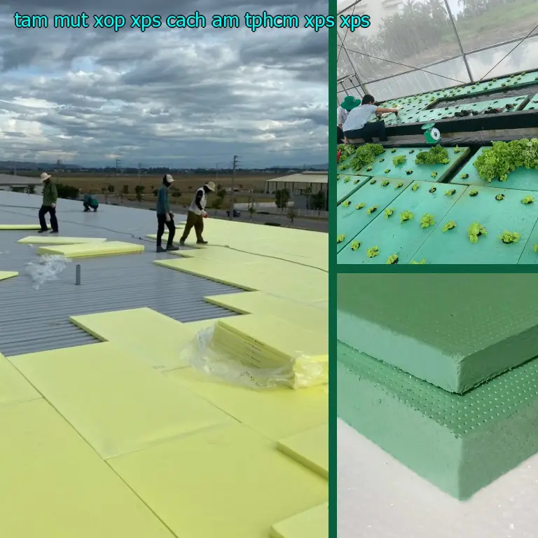Chất liệu tấm mút xốp XPS cách âm TpHCM XPS: XPS Chất liệu tấm mút xốp XPS cách âm TpHCM XPS: XPS