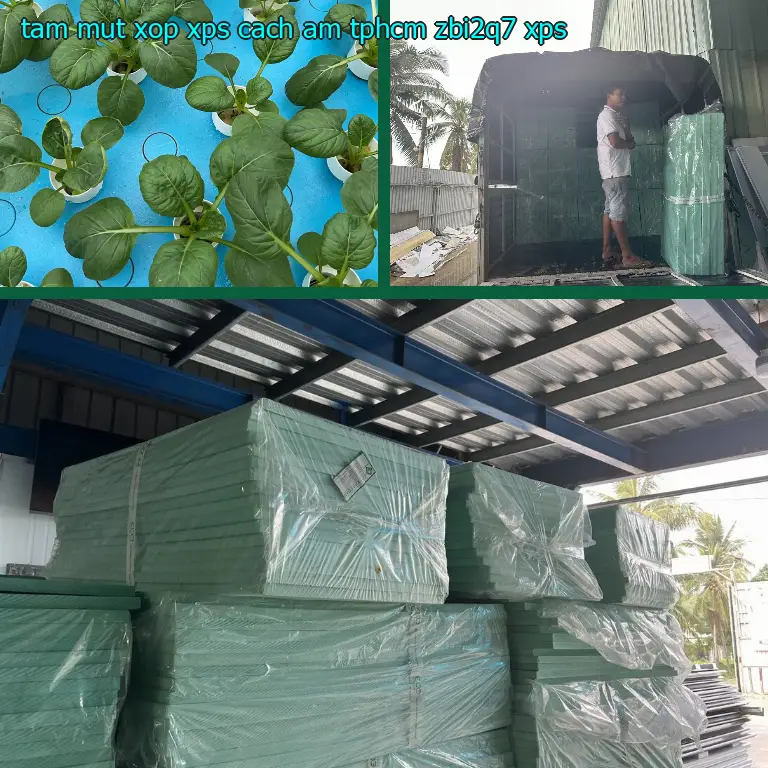 Chất liệu tấm mút xốp XPS cách âm TpHCM ZBI2Q7: XPS Chất liệu tấm mút xốp XPS cách âm TpHCM ZBI2Q7: XPS