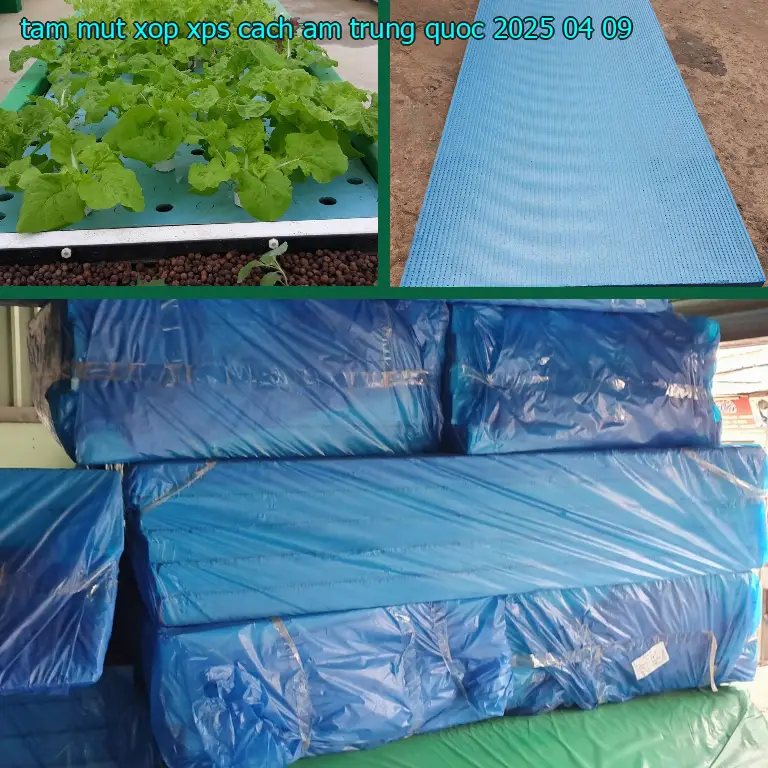 Ngày sản xuất tấm mút xốp XPS cách âm Trung Quốc: 2025-04-09 Ngày sản xuất tấm mút xốp XPS cách âm Trung Quốc: 2025-04-09