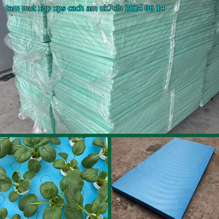 Ngày sản xuất tấm mút xốp XPS cách âm UK7CLH: 2024-06-14 Ngày sản xuất tấm mút xốp XPS cách âm UK7CLH: 2024-06-14