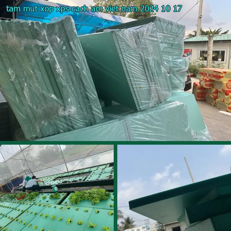 Ngày sản xuất tấm mút xốp XPS cách âm Việt Nam: 2024-10-17 Ngày sản xuất tấm mút xốp XPS cách âm Việt Nam: 2024-10-17