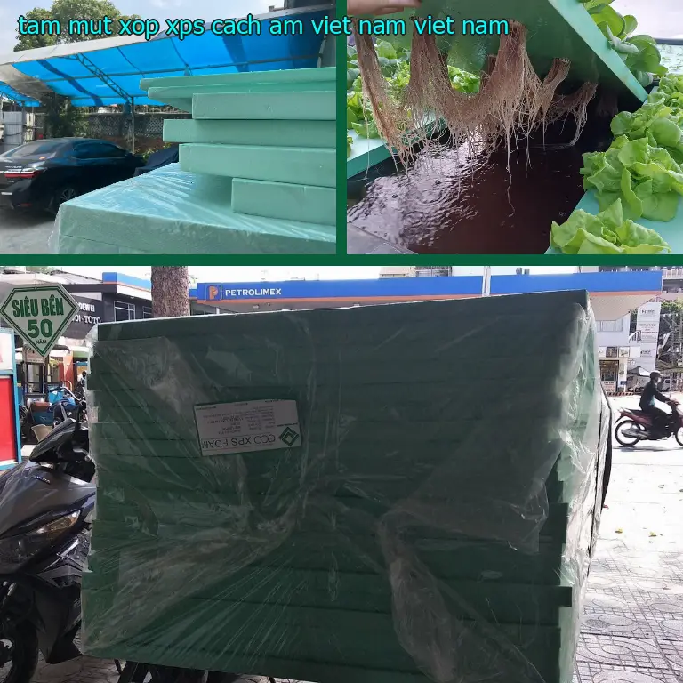 Xuất xứ tấm mút xốp XPS cách âm Việt Nam: Việt Nam Xuất xứ tấm mút xốp XPS cách âm Việt Nam: Việt Nam