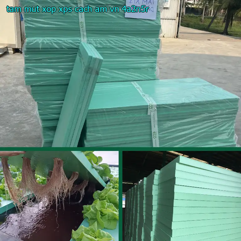 Model tấm mút xốp XPS cách âm VN: 4A2N5R Model tấm mút xốp XPS cách âm VN: 4A2N5R