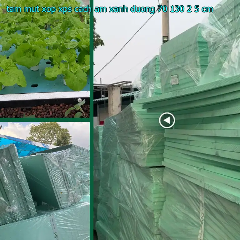 Kích thước tấm mút xốp XPS cách âm Xanh dương: 70*130*2.5 cm Kích thước tấm mút xốp XPS cách âm Xanh dương: 70*130*2.5 cm