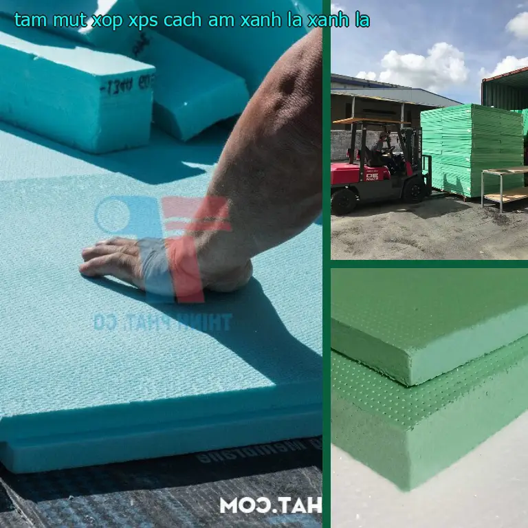 Màu sắc tấm mút xốp XPS cách âm Xanh lá: Xanh lá Màu sắc tấm mút xốp XPS cách âm Xanh lá: Xanh lá