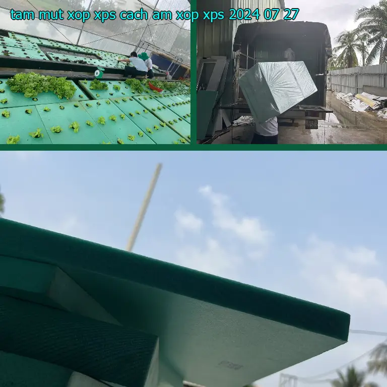 Ngày sản xuất tấm mút xốp XPS cách âm Xốp XPS: 2024-07-27 Ngày sản xuất tấm mút xốp XPS cách âm Xốp XPS: 2024-07-27