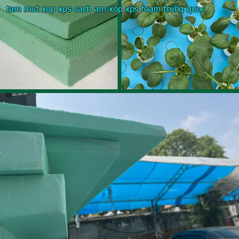 Xuất xứ tấm mút xốp XPS cách âm Xốp XPS Foam: Trung Quốc Xuất xứ tấm mút xốp XPS cách âm Xốp XPS Foam: Trung Quốc