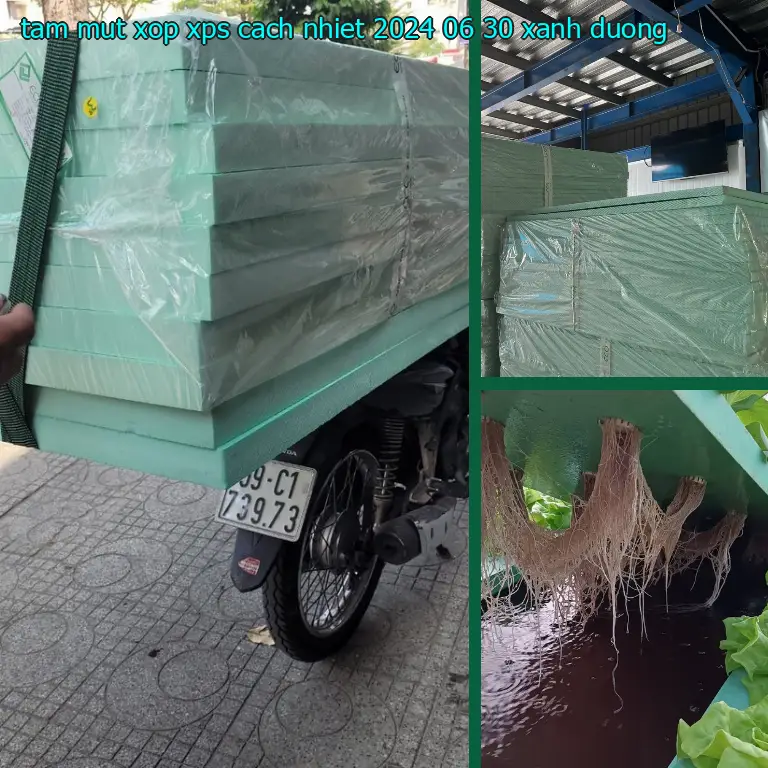 Màu sắc tấm mút xốp XPS cách nhiệt 2024-06-30: Xanh dương Màu sắc tấm mút xốp XPS cách nhiệt 2024-06-30: Xanh dương