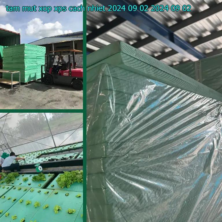 Ngày sản xuất tấm mút xốp XPS cách nhiệt 2024-09-02: 2024-09-02 Ngày sản xuất tấm mút xốp XPS cách nhiệt 2024-09-02: 2024-09-02