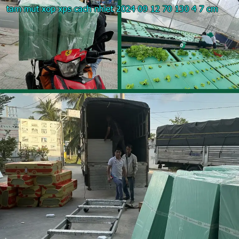 Kích thước tấm mút xốp XPS cách nhiệt 2024-09-12: 70*130*4.7 cm Kích thước tấm mút xốp XPS cách nhiệt 2024-09-12: 70*130*4.7 cm