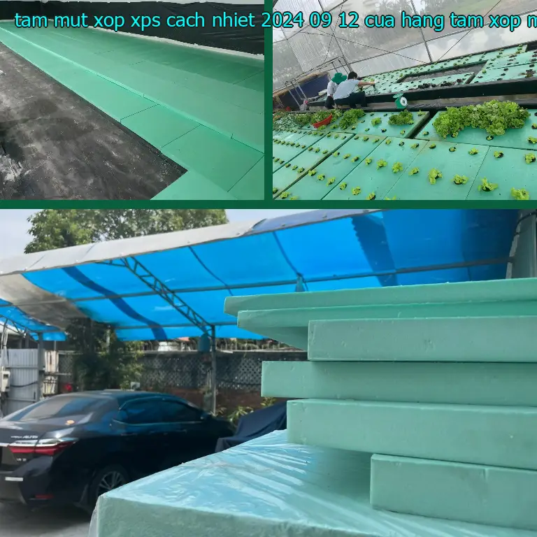 Nhà cung cấp tấm mút xốp XPS cách nhiệt 2024-09-12: Cửa hàng tấm xốp Mr.HẢI Nhà cung cấp tấm mút xốp XPS cách nhiệt 2024-09-12: Cửa hàng tấm xốp Mr.HẢI