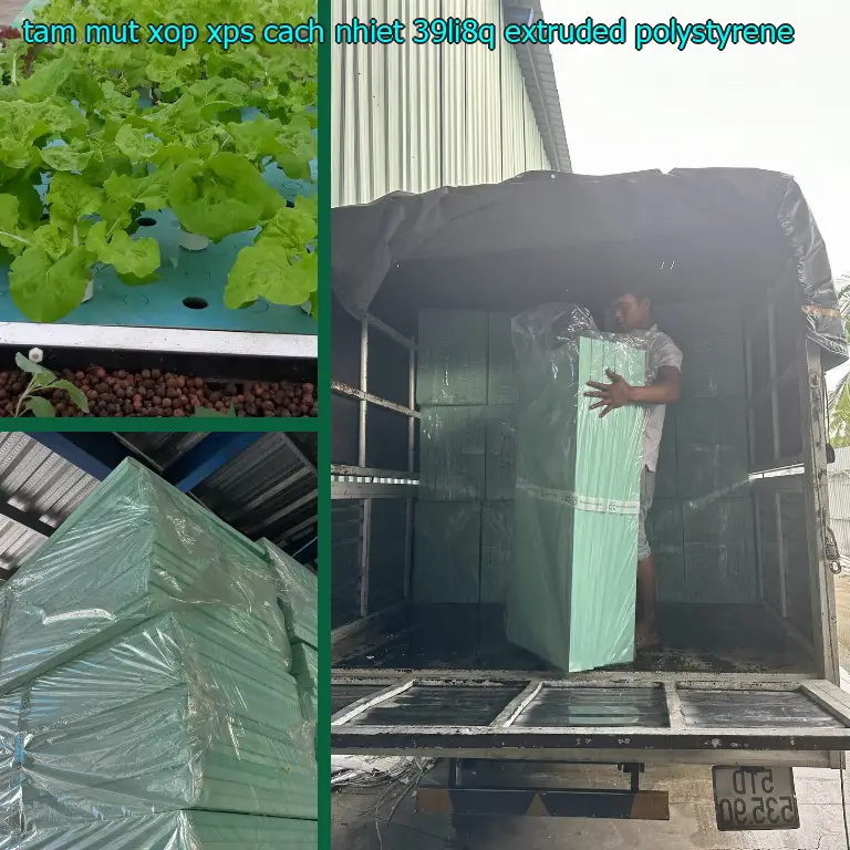 Chất liệu tấm mút xốp XPS cách nhiệt 39LI8Q: Extruded Polystyrene