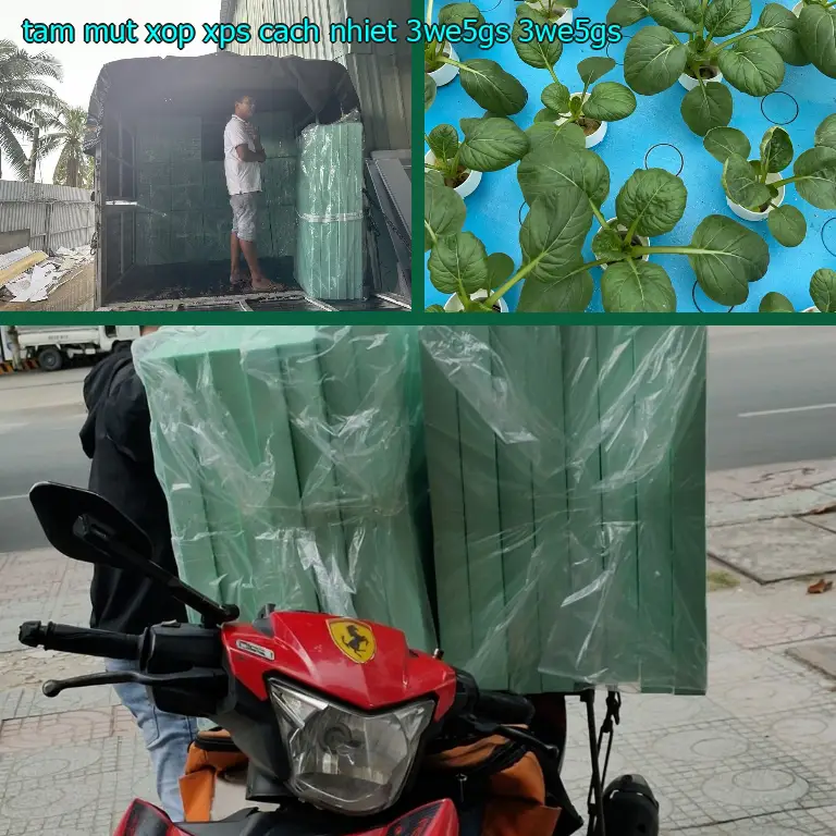 Model tấm mút xốp XPS cách nhiệt 3WE5GS: 3WE5GS