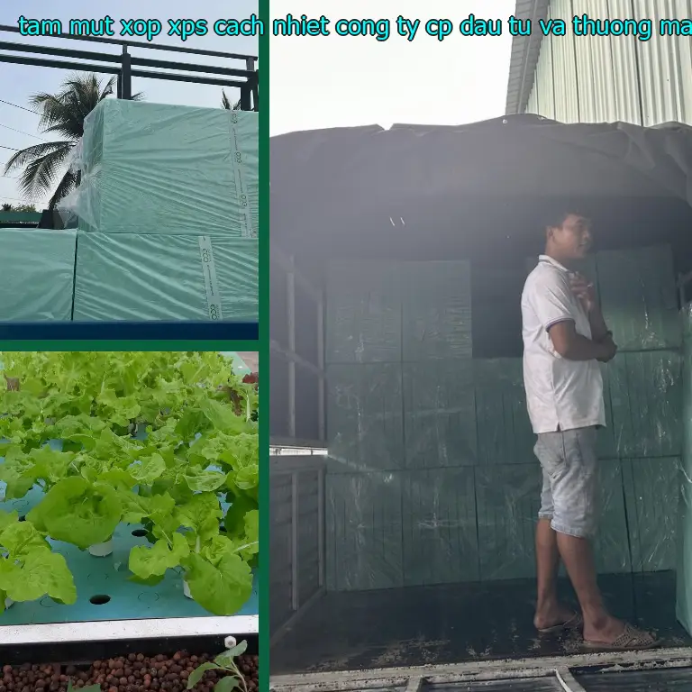 Tấm mút xốp XPS cách nhiệt Công ty CP đầu tư và thương mại AK Việt Nam