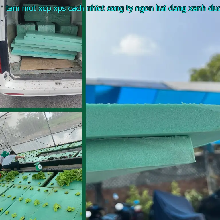 Màu sắc tấm mút xốp XPS cách nhiệt Công ty Ngọn Hải Đăng: Xanh dương