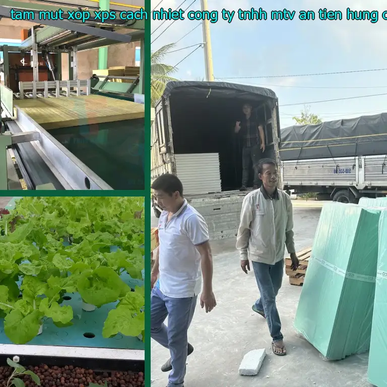 Model tấm mút xốp XPS cách nhiệt Công ty TNHH MTV An Tiến Hưng: OHE7PW Model tấm mút xốp XPS cách nhiệt Công ty TNHH MTV An Tiến Hưng: OHE7PW
