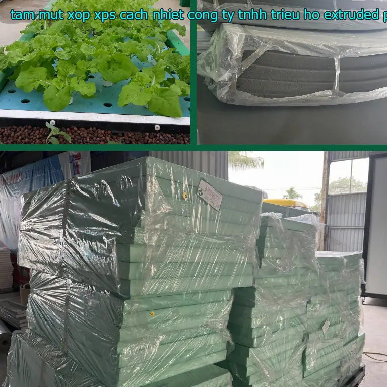 Chất liệu tấm mút xốp XPS cách nhiệt Công ty TNHH Triệu Hổ: Extruded Polystyrene Chất liệu tấm mút xốp XPS cách nhiệt Công ty TNHH Triệu Hổ: Extruded Polystyrene