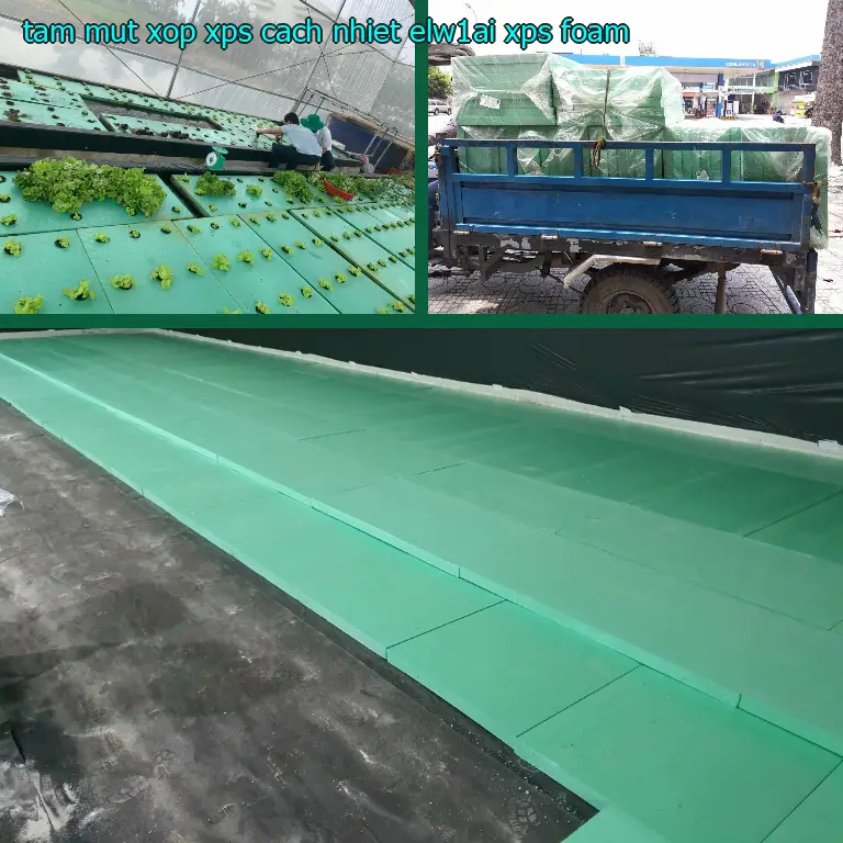 Danh mục tấm mút xốp XPS cách nhiệt ELW1AI: XPS Foam