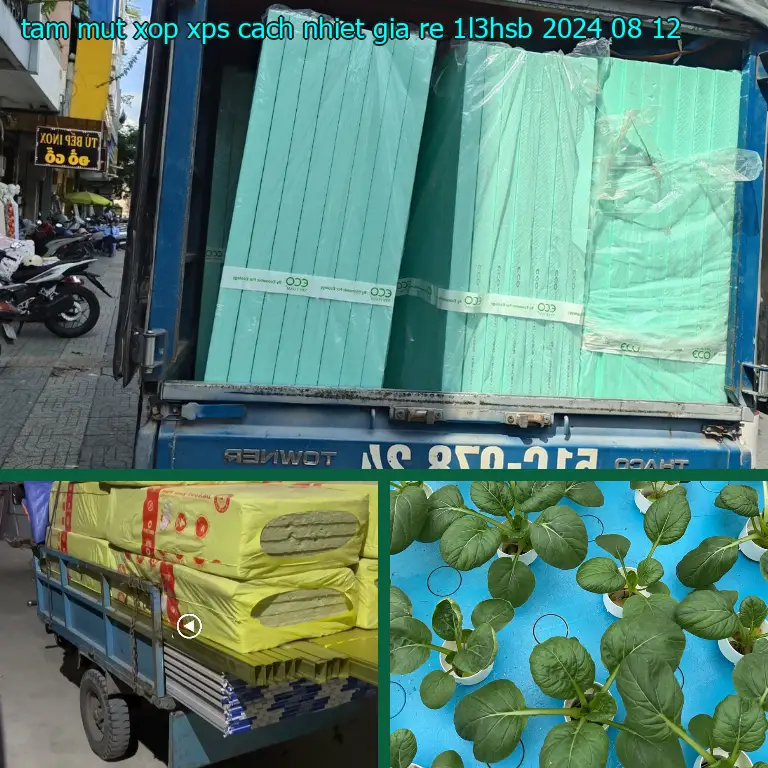 Ngày sản xuất tấm mút xốp XPS cách nhiệt giá rẻ 1L3HSB: 2024-08-12 Ngày sản xuất tấm mút xốp XPS cách nhiệt giá rẻ 1L3HSB: 2024-08-12