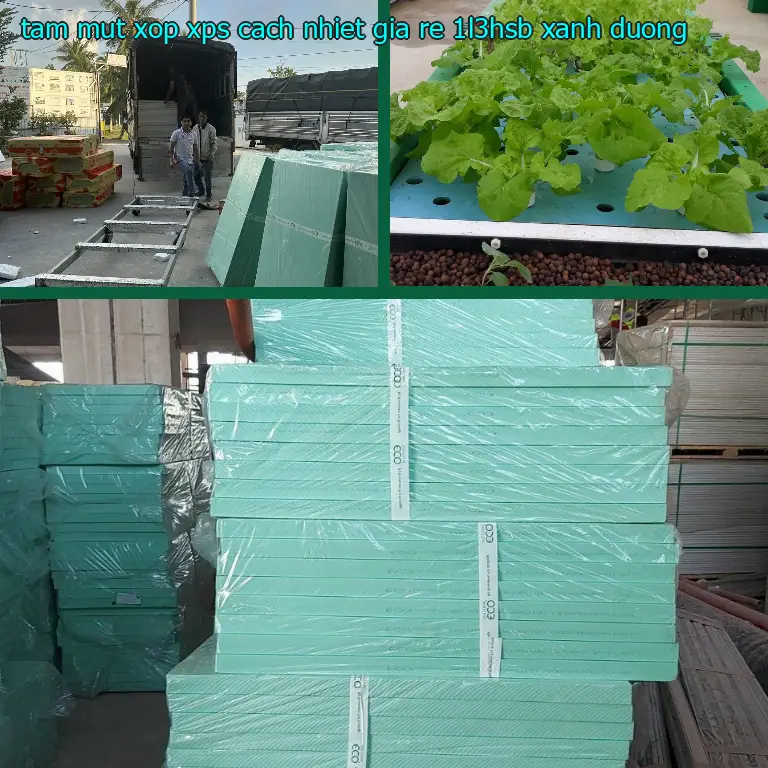 Màu sắc tấm mút xốp XPS cách nhiệt giá rẻ 1L3HSB: Xanh dương Màu sắc tấm mút xốp XPS cách nhiệt giá rẻ 1L3HSB: Xanh dương