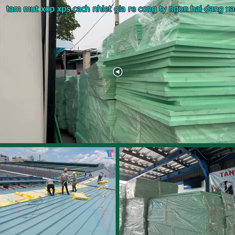 Màu sắc tấm mút xốp XPS cách nhiệt giá rẻ Công ty Ngọn Hải Đăng: Xanh lá Màu sắc tấm mút xốp XPS cách nhiệt giá rẻ Công ty Ngọn Hải Đăng: Xanh lá