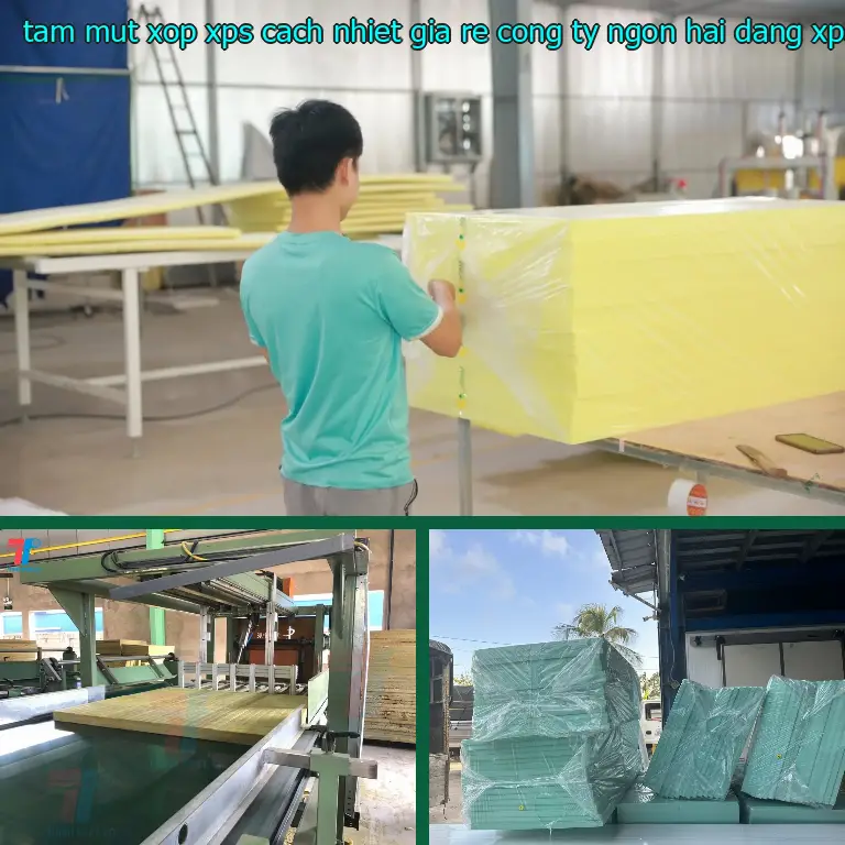 Chất liệu tấm mút xốp XPS cách nhiệt giá rẻ Công ty Ngọn Hải Đăng: XPS Chất liệu tấm mút xốp XPS cách nhiệt giá rẻ Công ty Ngọn Hải Đăng: XPS