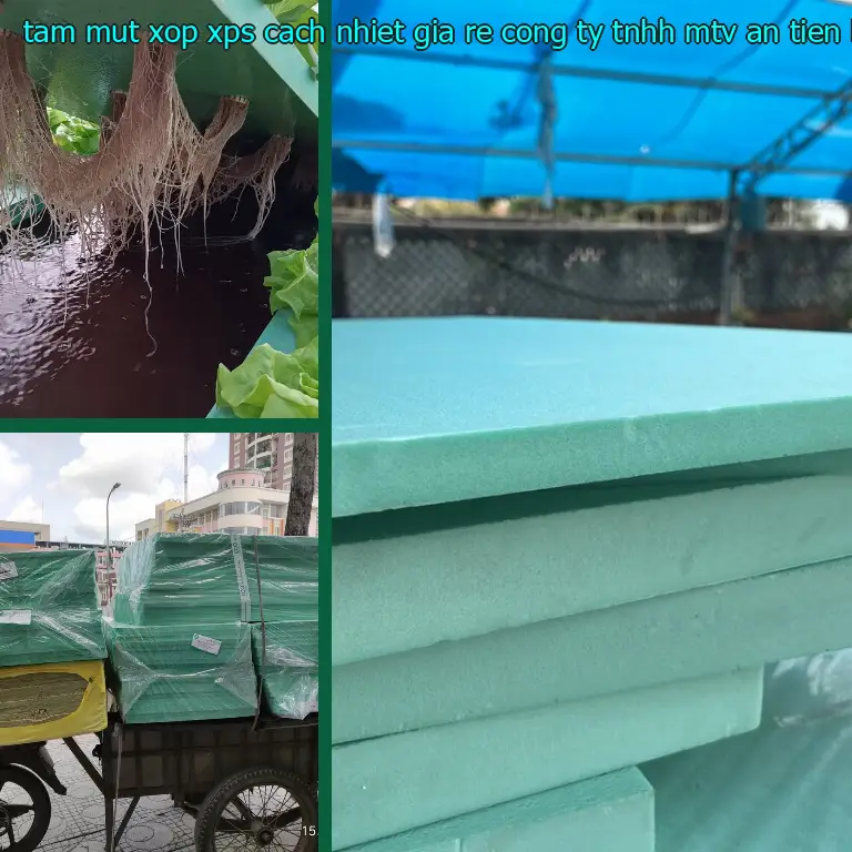 Kích thước tấm mút xốp XPS cách nhiệt giá rẻ Công ty TNHH MTV An Tiến Hưng: 60*120*5.8 cm