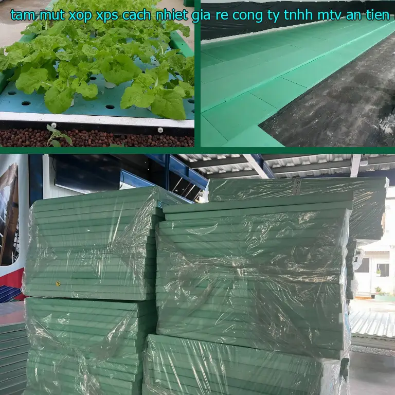 Nhà cung cấp tấm mút xốp XPS cách nhiệt giá rẻ Công ty TNHH MTV An Tiến Hưng: Vật Liệu Xây Dựng Mr.HẢI