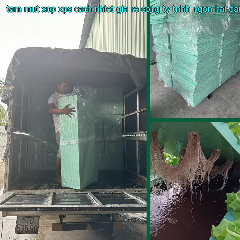 Giá tấm mút xốp XPS cách nhiệt giá rẻ Công ty TNHH Ngọn Hải Đăng: 144.400₫ Giá tấm mút xốp XPS cách nhiệt giá rẻ Công ty TNHH Ngọn Hải Đăng: 144.400₫