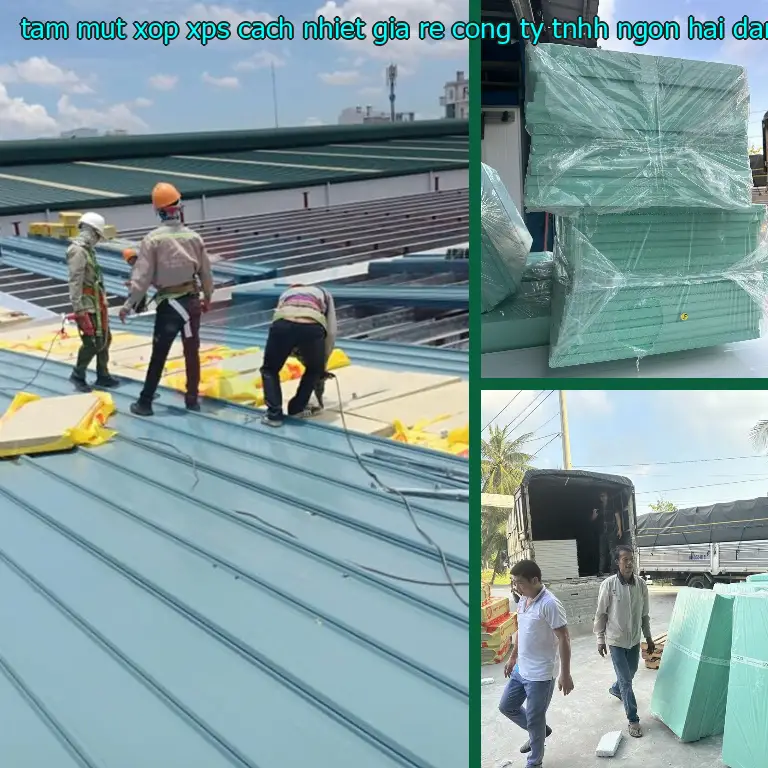 Nhà cung cấp tấm mút xốp XPS cách nhiệt giá rẻ Công ty TNHH Ngọn Hải Đăng: Công ty TNHH Ngọn Hải Đăng Nhà cung cấp tấm mút xốp XPS cách nhiệt giá rẻ Công ty TNHH Ngọn Hải Đăng: Công ty TNHH Ngọn Hải Đăng