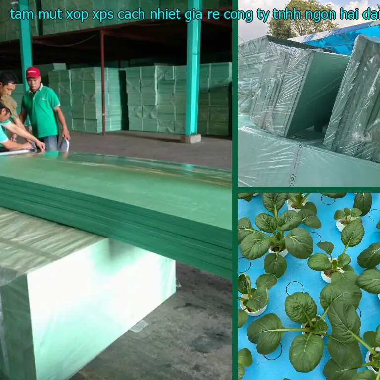Xuất xứ tấm mút xốp XPS cách nhiệt giá rẻ Công ty TNHH Ngọn Hải Đăng: Viet Nam Xuất xứ tấm mút xốp XPS cách nhiệt giá rẻ Công ty TNHH Ngọn Hải Đăng: Viet Nam