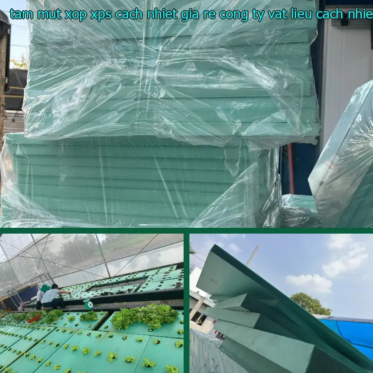 Màu sắc tấm mút xốp XPS cách nhiệt giá rẻ Công ty vật liệu cách nhiệt Việt Nhật: Xanh dương Màu sắc tấm mút xốp XPS cách nhiệt giá rẻ Công ty vật liệu cách nhiệt Việt Nhật: Xanh dương