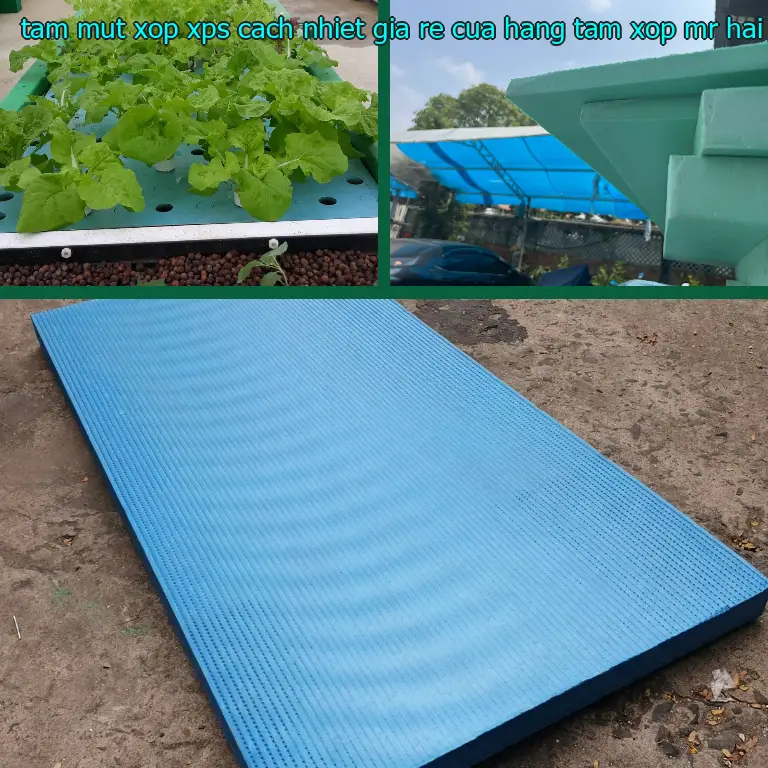 Đơn giá tấm mút xốp XPS cách nhiệt giá rẻ Cửa hàng tấm xốp Mr.HẢI: 150.500₫ Đơn giá tấm mút xốp XPS cách nhiệt giá rẻ Cửa hàng tấm xốp Mr.HẢI: 150.500₫