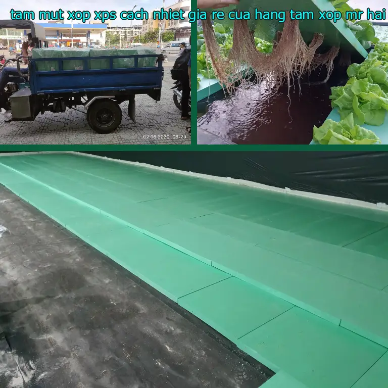 Model tấm mút xốp XPS cách nhiệt giá rẻ Cửa hàng tấm xốp Mr.HẢI: H3JVD0 Model tấm mút xốp XPS cách nhiệt giá rẻ Cửa hàng tấm xốp Mr.HẢI: H3JVD0
