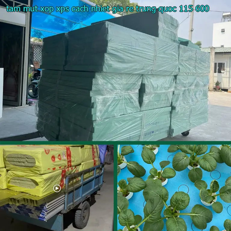 Giá tấm mút xốp XPS cách nhiệt giá rẻ Trung Quốc: 115.600₫ Giá tấm mút xốp XPS cách nhiệt giá rẻ Trung Quốc: 115.600₫